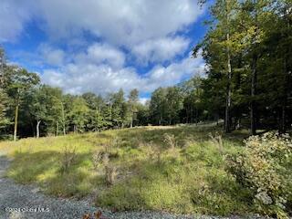 223 Foster Road Grafton, NY 12052 - Photo 17 of 27 driveway