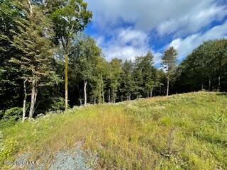 223 Foster Road Grafton, NY 12052 - Photo 18 of 27 driveway