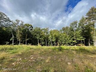 223 Foster Road Grafton, NY 12052 - Photo 3 of 27 Cleared land