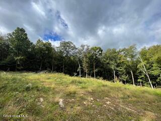 223 Foster Road Grafton, NY 12052 - Photo 4 of 27 clearing