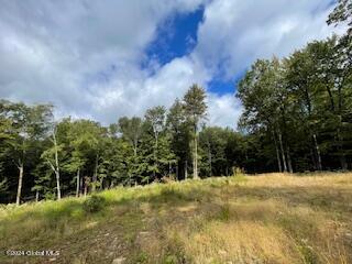 223 Foster Road Grafton, NY 12052 - Photo 5 of 27 cleared land