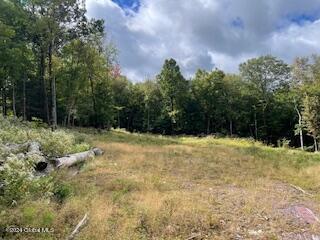 223 Foster Road Grafton, NY 12052 - Photo 6 of 27 Cleared land