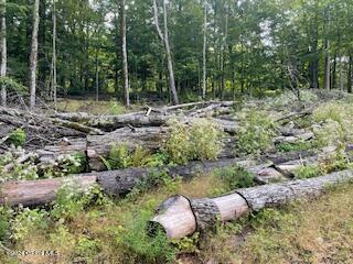 223 Foster Road Grafton, NY 12052 - Photo 7 of 27 logs from land clearing