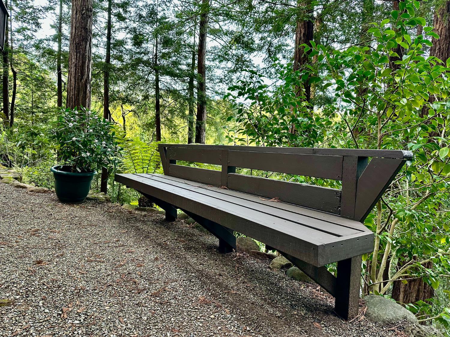 300 Hazel Avenue Mill Valley, CA 94941 - Photo 41 of 50 a view of a bench in a garden
