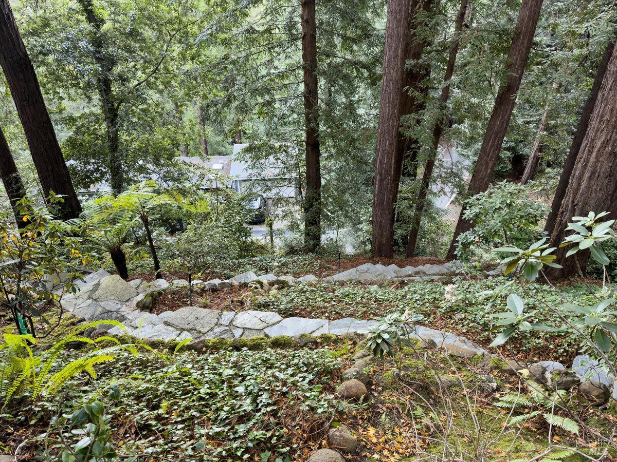 300 Hazel Avenue Mill Valley, CA 94941 - Photo 42 of 50 a backyard of a house with lots of green space