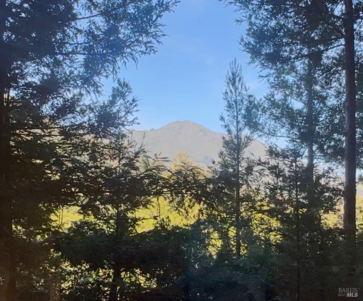 300 Hazel Avenue Mill Valley, CA 94941 - Photo 47 of 50 a view of a tree