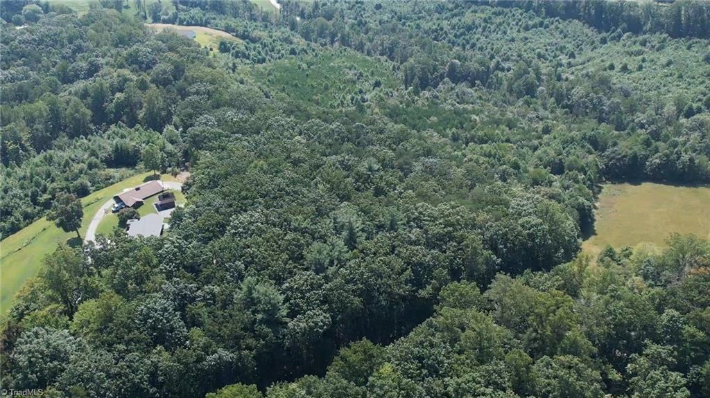 0 Chestnut Ridge Road Pilot Mountain, NC 27041 - Photo 2 of 7