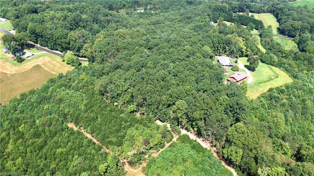 0 Chestnut Ridge Road Pilot Mountain, NC 27041 - Photo 3 of 7