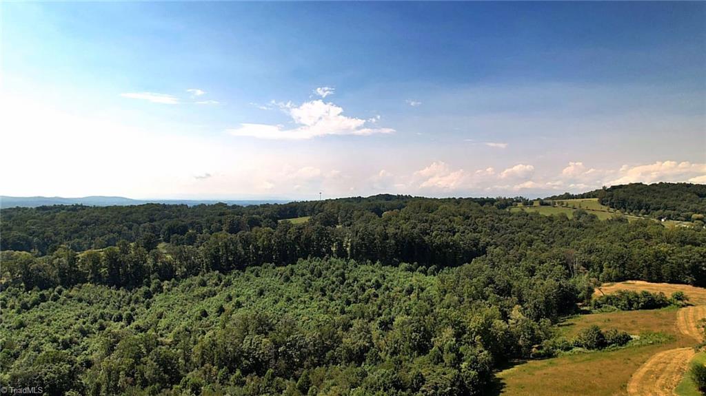 0 Chestnut Ridge Road Pilot Mountain, NC 27041 - Photo 4 of 7