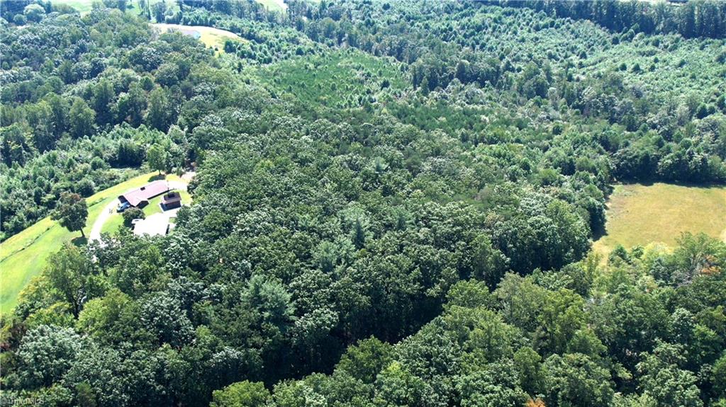 0 Chestnut Ridge Road Pilot Mountain, NC 27041 - Photo 5 of 7