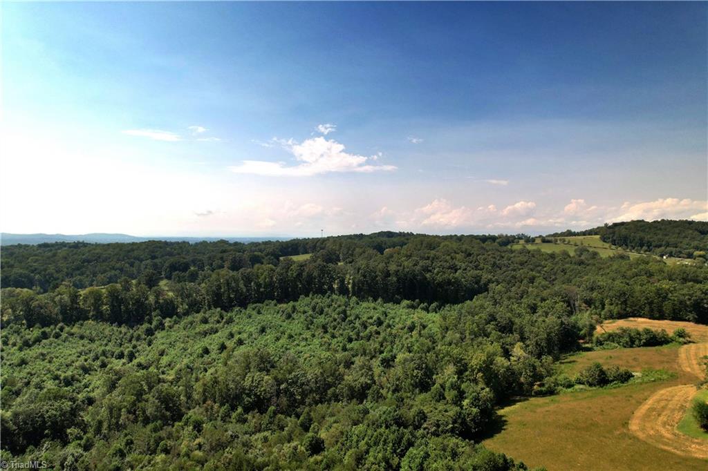 0 Chestnut Ridge Road Pilot Mountain, NC 27041 - Photo 6 of 7