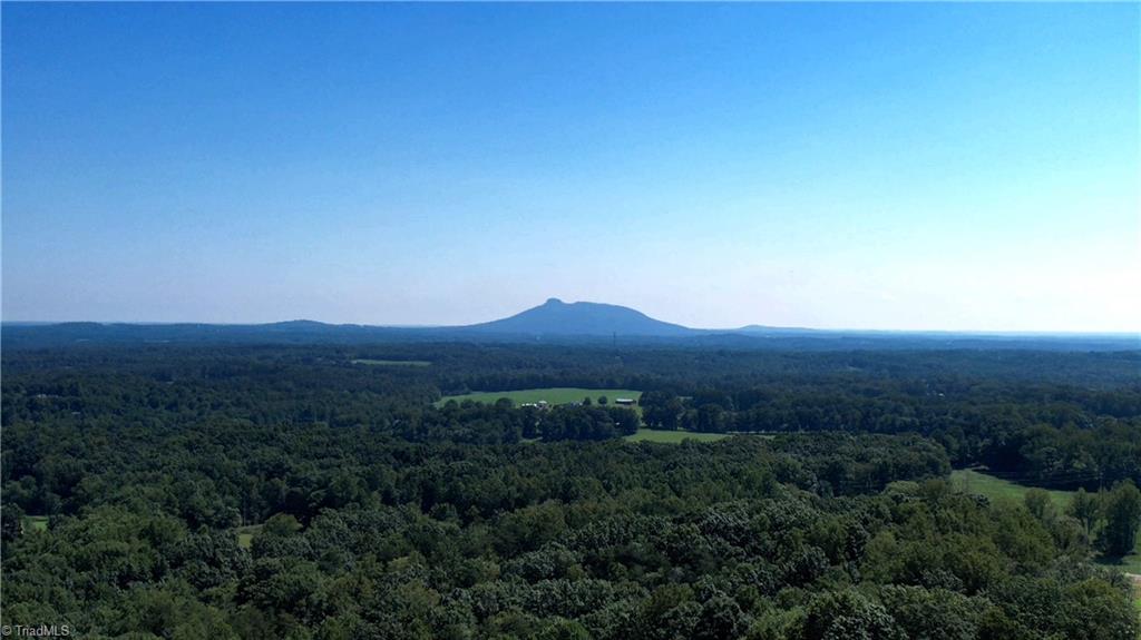 0 Chestnut Ridge Road Pilot Mountain, NC 27041 - Photo 7 of 7