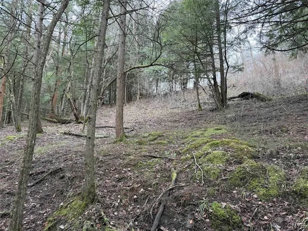 $44,900 | Emerson Rd Valley, West Valley, NY 14171