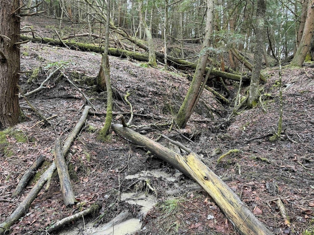 Emerson Rd Valley West Valley, NY 14171 - Photo 12 of 26