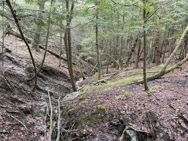 $44,900 | Emerson Rd Valley, West Valley, NY 14171