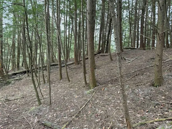 $44,900 | Emerson Rd Valley, West Valley, NY 14171
