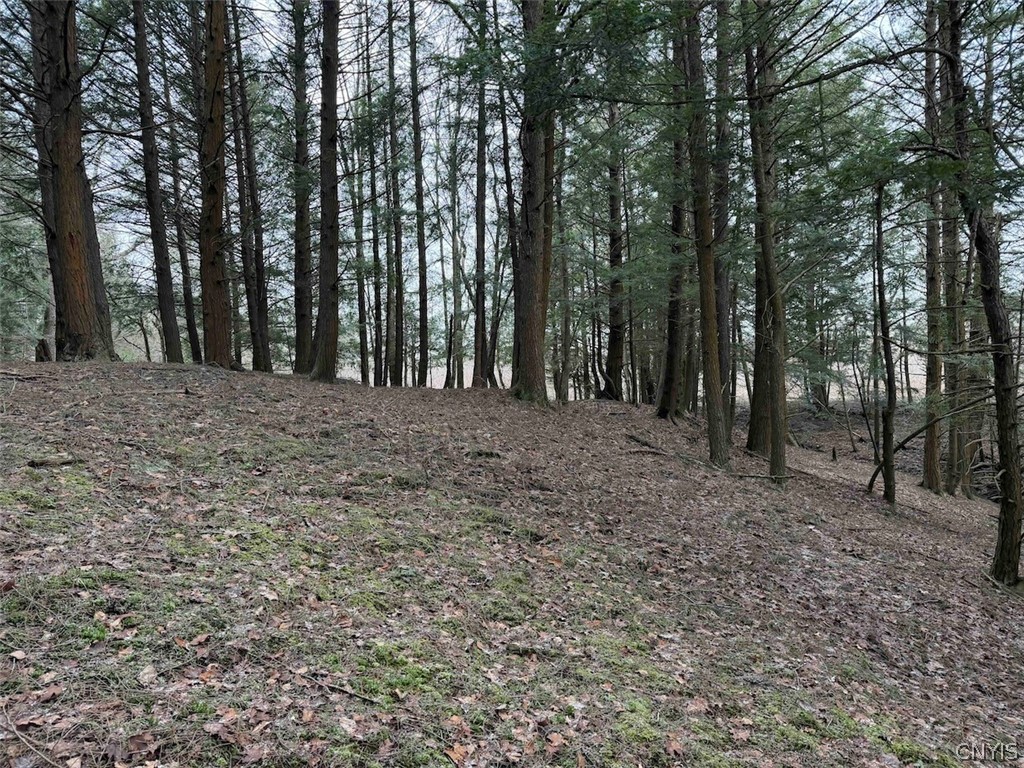 Emerson Rd Valley West Valley, NY 14171 - Photo 15 of 26