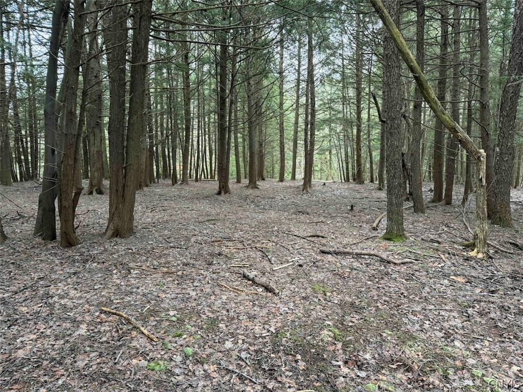 Emerson Rd Valley West Valley, NY 14171 - Photo 16 of 26