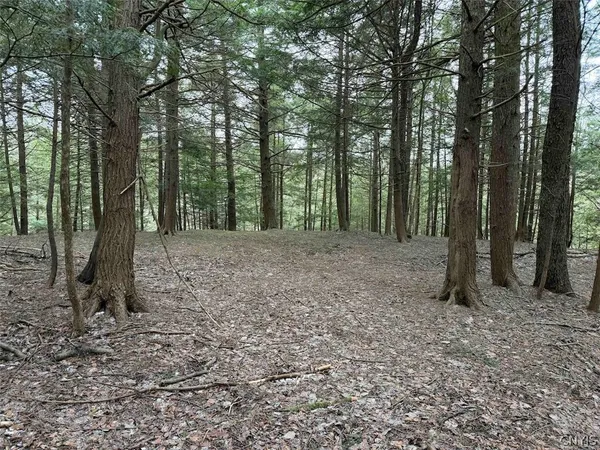 $44,900 | Emerson Rd Valley, West Valley, NY 14171