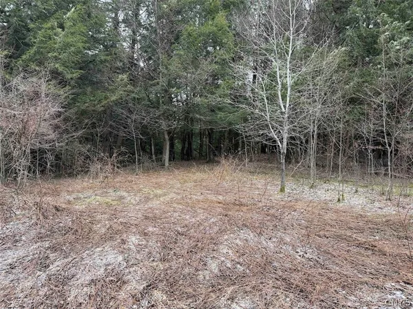 $44,900 | Emerson Rd Valley, West Valley, NY 14171