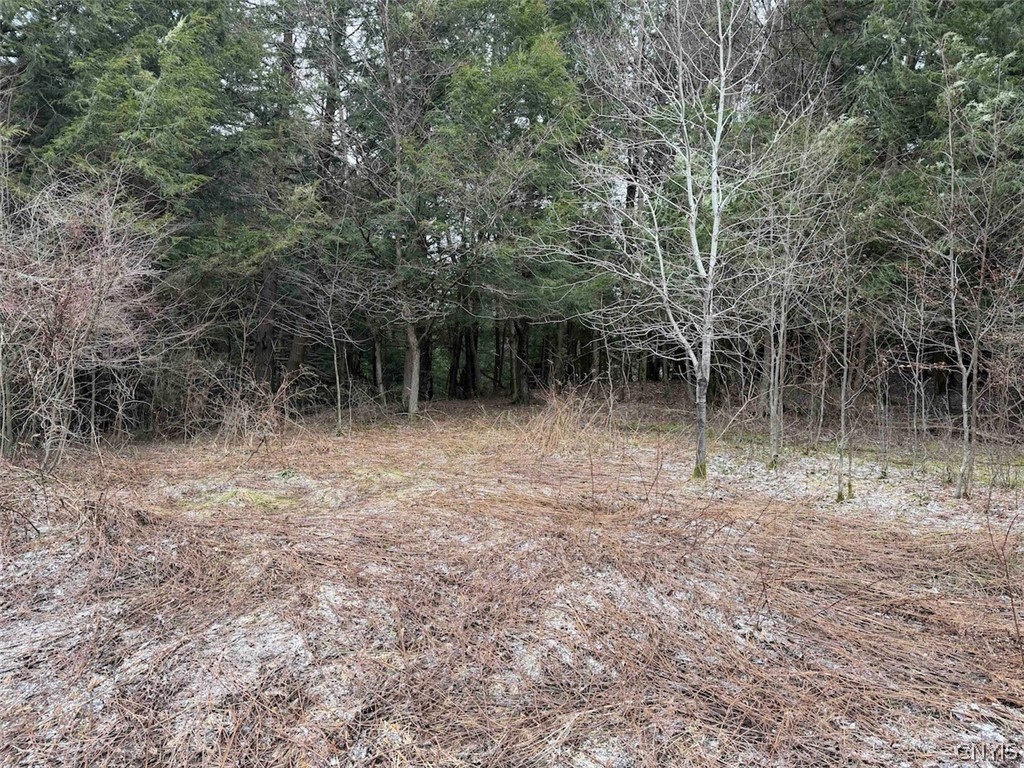 Emerson Rd Valley West Valley, NY 14171 - Photo 18 of 26