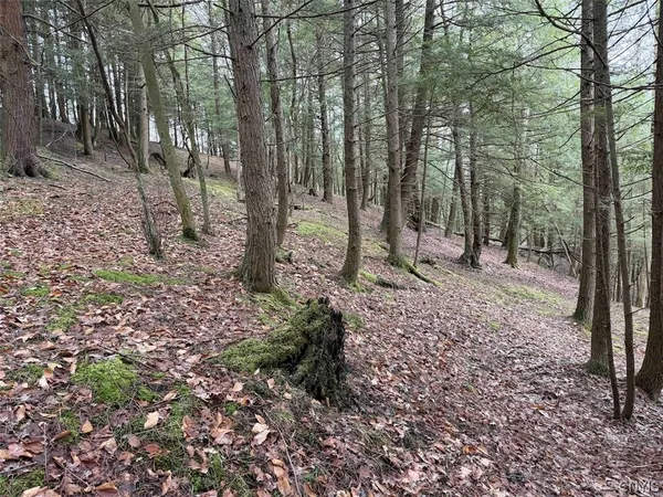 $44,900 | Emerson Rd Valley, West Valley, NY 14171