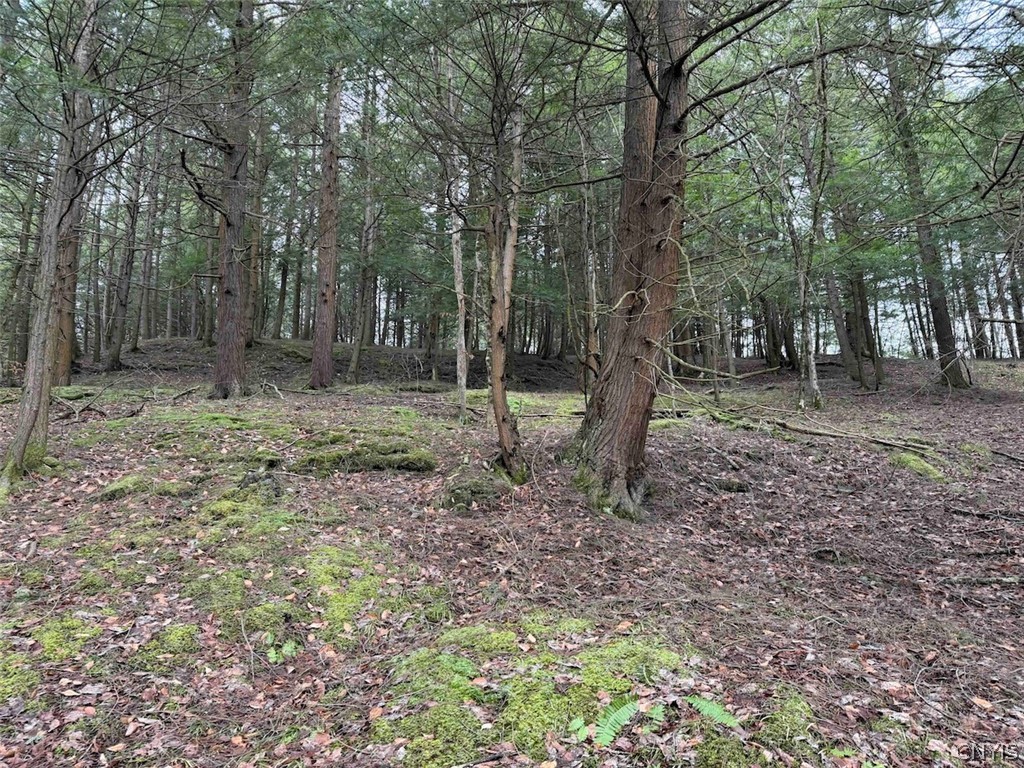 Emerson Rd Valley West Valley, NY 14171 - Photo 20 of 26