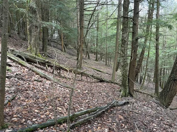 $44,900 | Emerson Rd Valley, West Valley, NY 14171