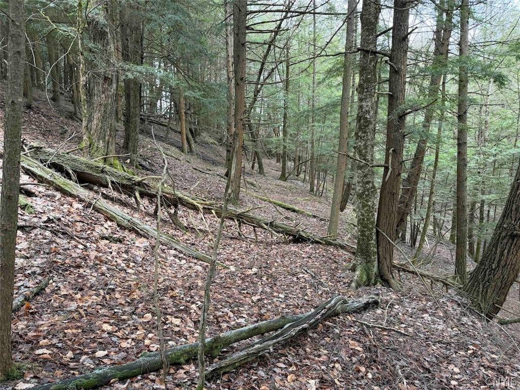 Emerson Rd Valley West Valley, NY 14171 - Photo 21 of 26