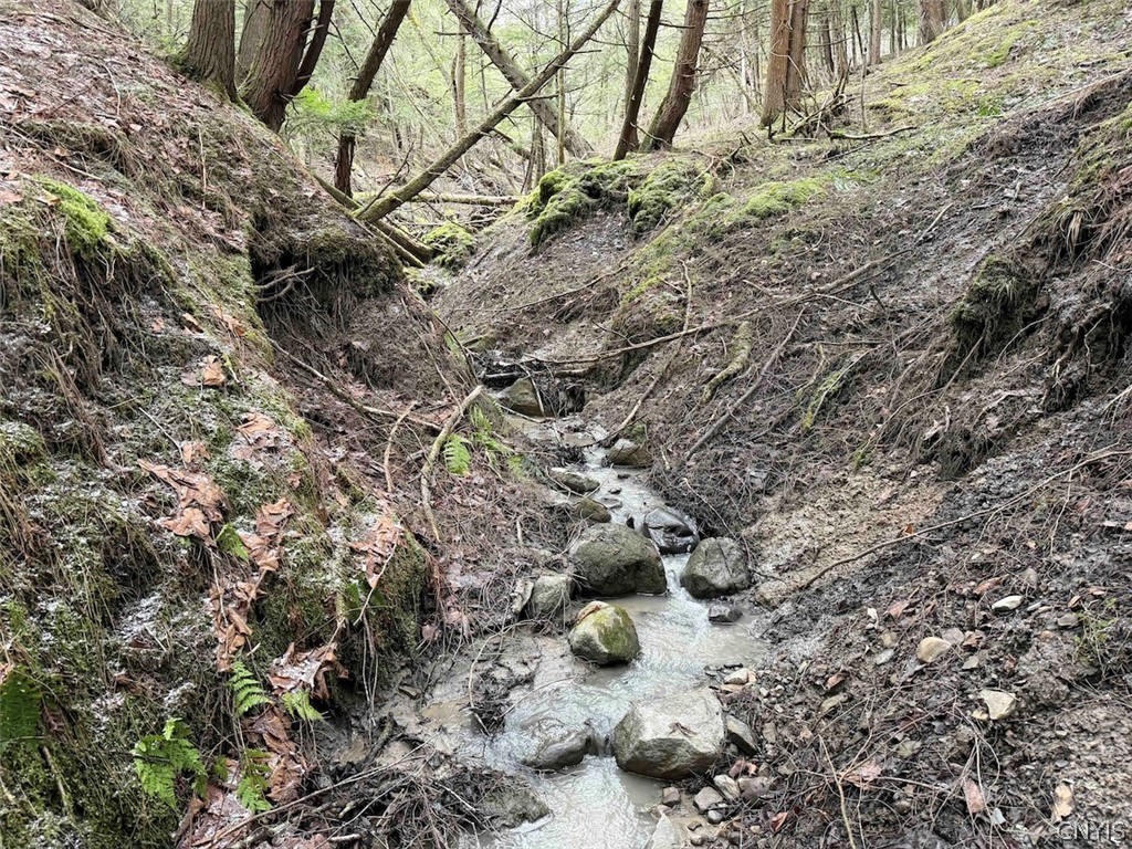 Emerson Rd Valley West Valley, NY 14171 - Photo 22 of 26