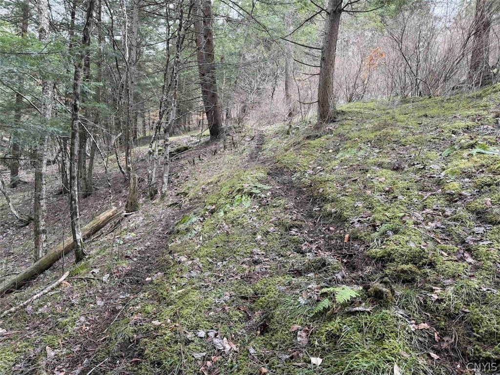 Emerson Rd Valley West Valley, NY 14171 - Photo 23 of 26