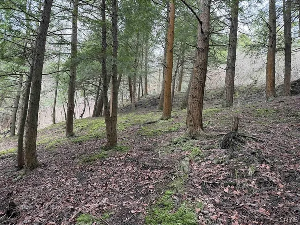 $44,900 | Emerson Rd Valley, West Valley, NY 14171