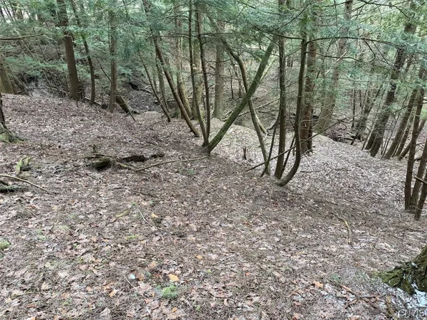 $44,900 | Emerson Rd Valley, West Valley, NY 14171