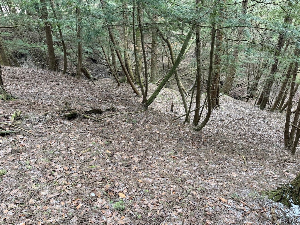 Emerson Rd Valley West Valley, NY 14171 - Photo 4 of 26