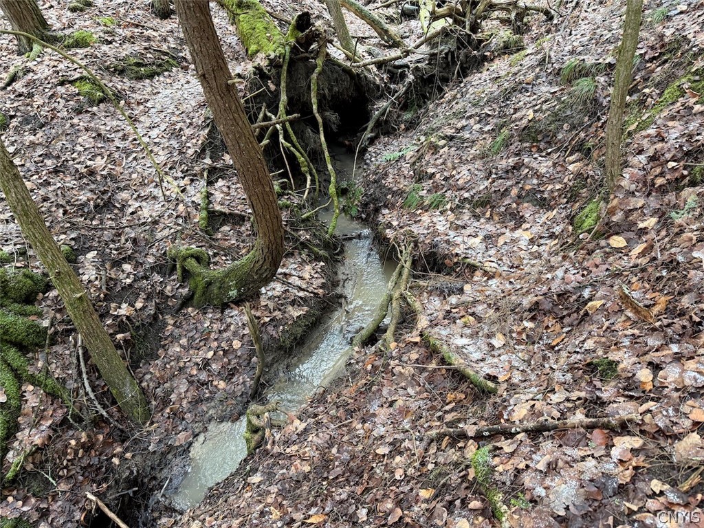 Emerson Rd Valley West Valley, NY 14171 - Photo 5 of 26