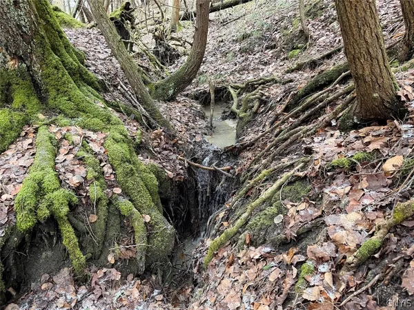 $44,900 | Emerson Rd Valley, West Valley, NY 14171