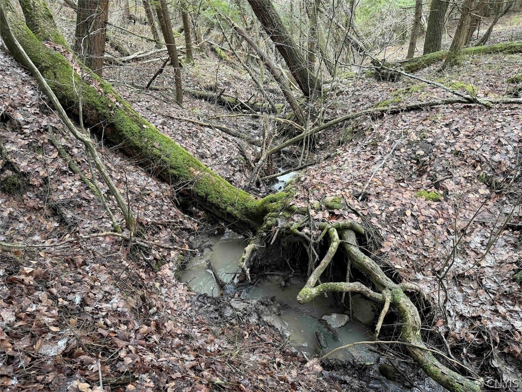 Emerson Rd Valley West Valley, NY 14171 - Photo 7 of 26