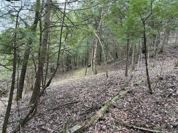 $44,900 | Emerson Rd Valley, West Valley, NY 14171