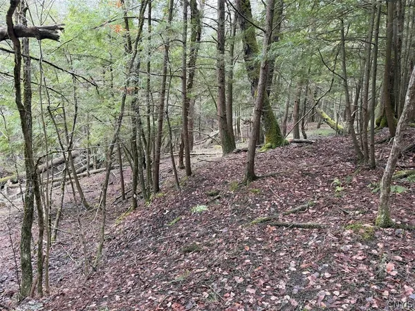 $44,900 | Emerson Rd Valley, West Valley, NY 14171