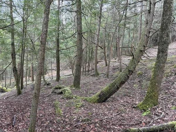 $44,900 | Emerson Rd Valley, West Valley, NY 14171