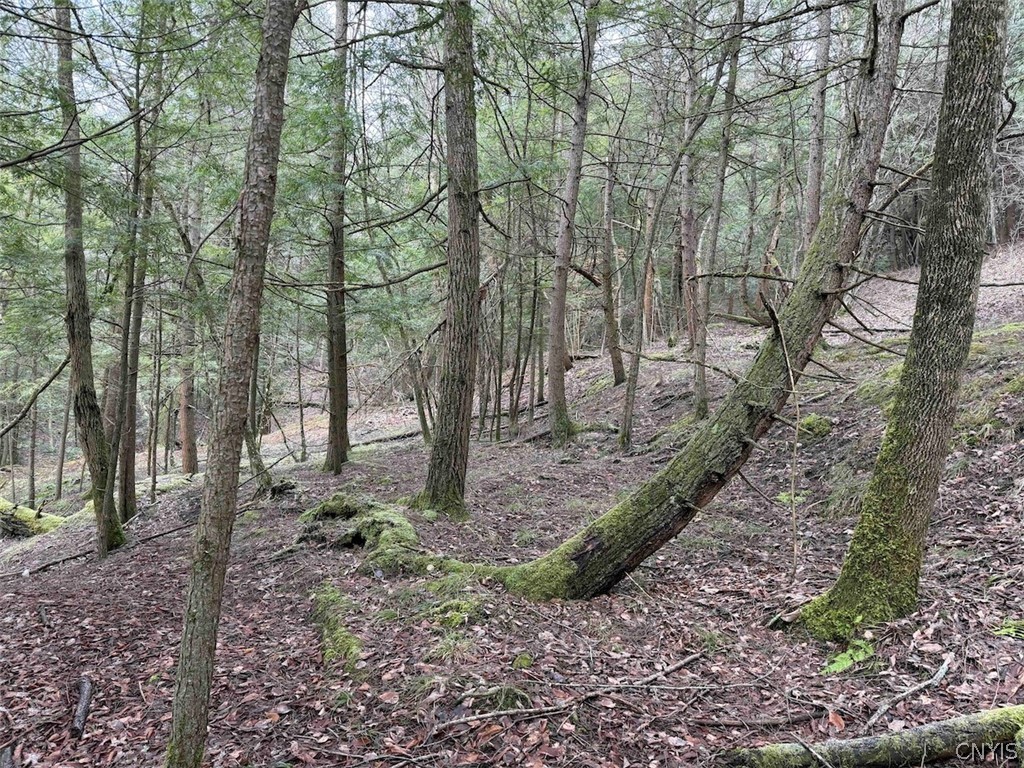 Emerson Rd Valley West Valley, NY 14171 - Photo 10 of 26