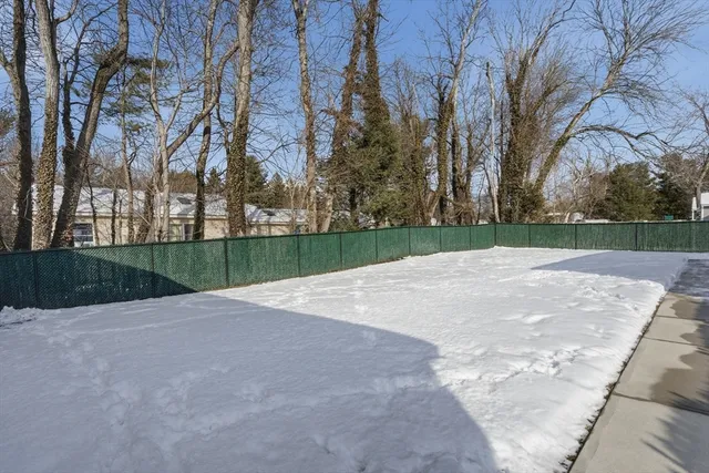 a view of a backyard