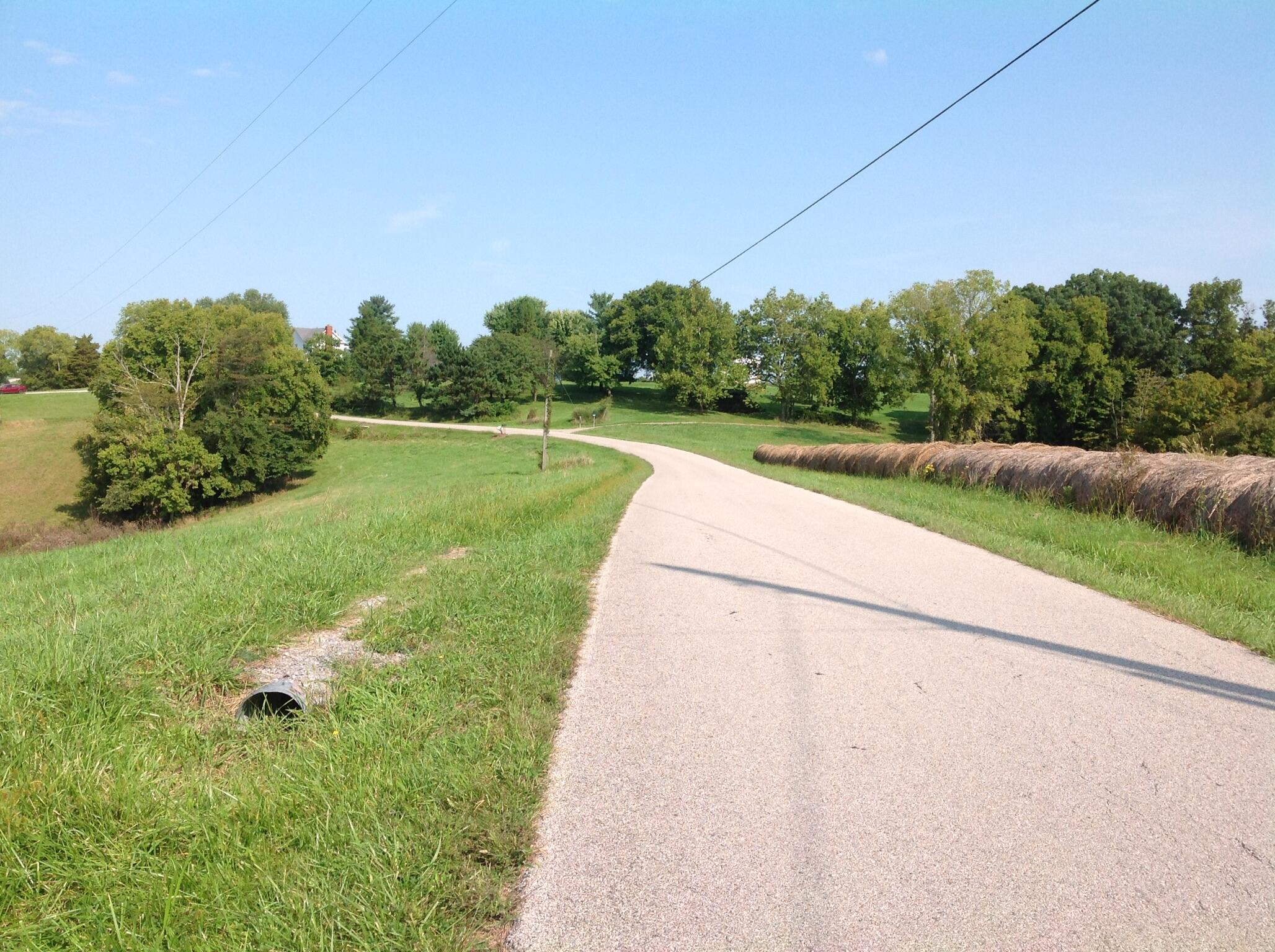 698 Ogden Ridge Road Mount Olivet, KY 41064 - Photo 3 of 12 Gallery Image 3