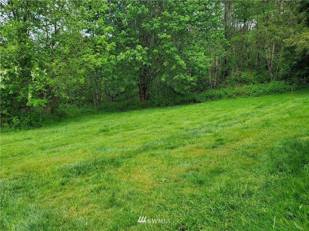 86 Malone Hill Road Elma, WA 98541 - Photo 23 of 23 Gallery Image 23