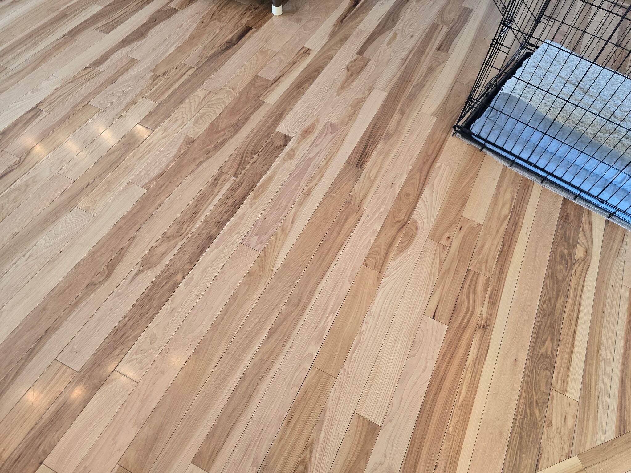 983 Moore Road Quincy, MI 49082 - Photo 13 of 15 Moore 16