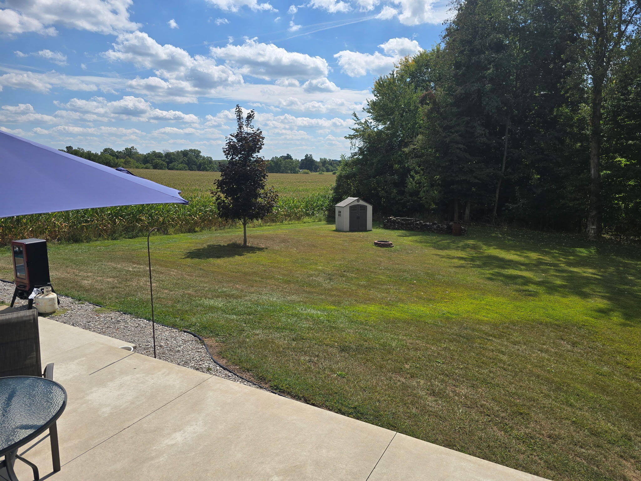 983 Moore Road Quincy, MI 49082 - Photo 6 of 15 Moore 3