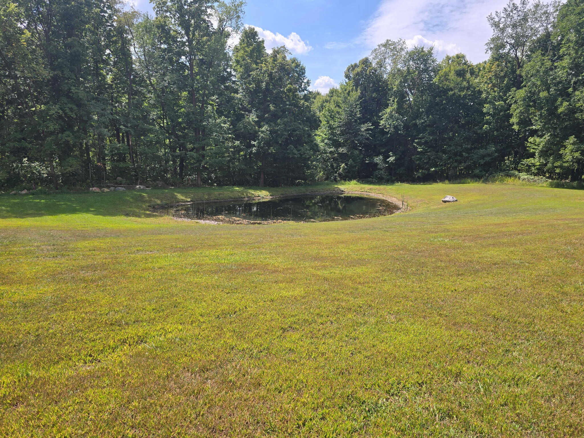 983 Moore Road Quincy, MI 49082 - Photo 7 of 15 Moore 6