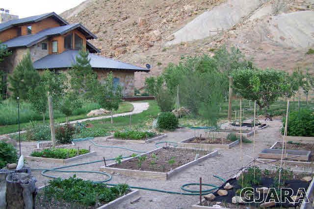680 39 Road Palisade, CO 81526 - Photo 29 of 32 a view of a patio with table and chairs and potted plants