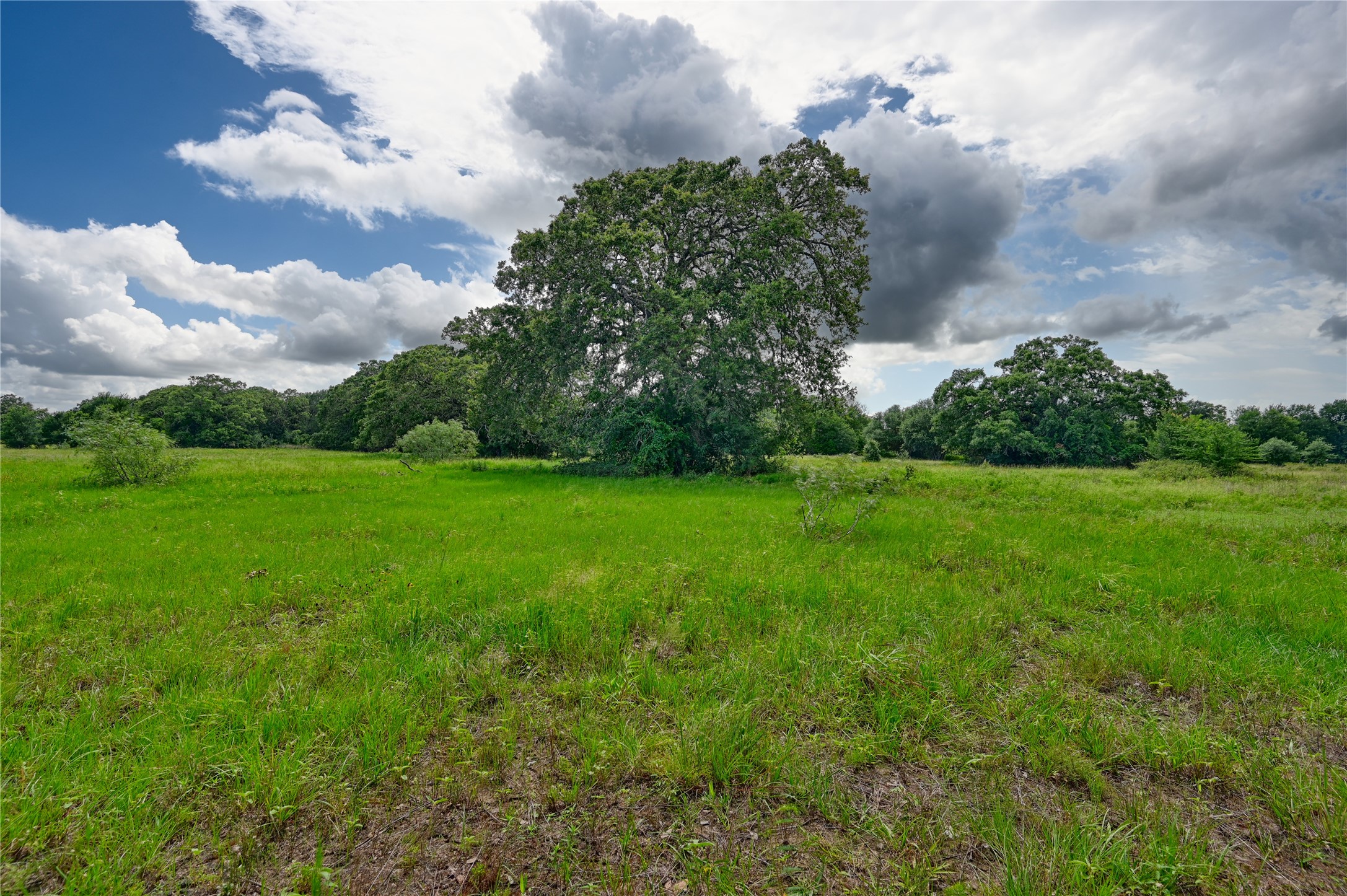 0 Homeyer Mountain Road Burton, TX 77835 - Photo 13 of 42