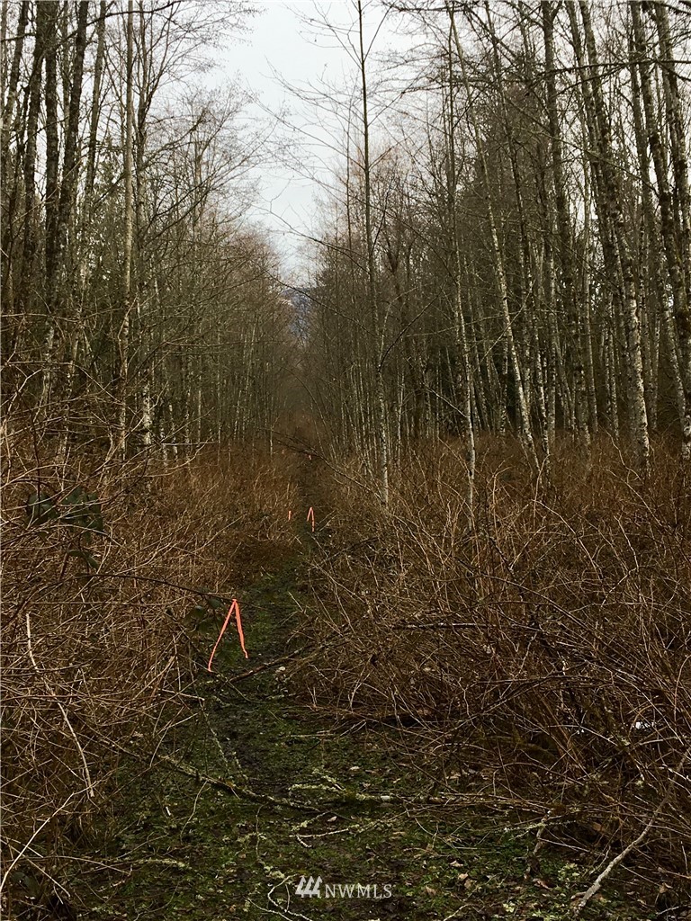 -xx Cully Road Sedro-Woolley, WA 98284 - Photo 9 of 12 Gallery Image 9